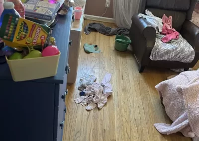 Professional Home Cleaning